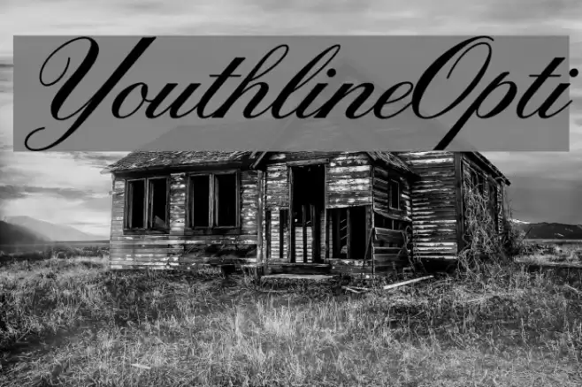 YouthlineOpti  examples