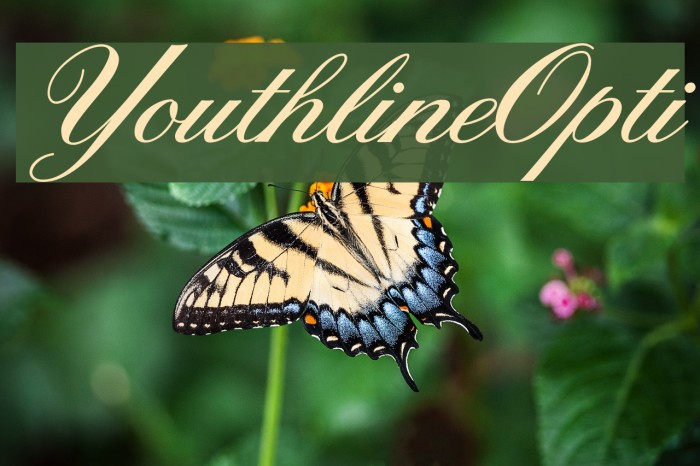YouthlineOpti Font examples