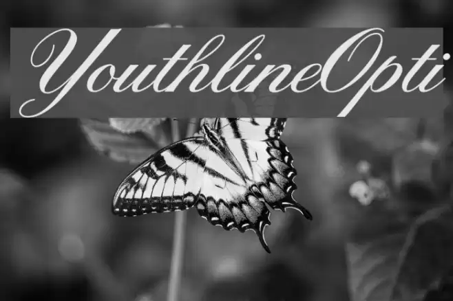 YouthlineOpti  examples