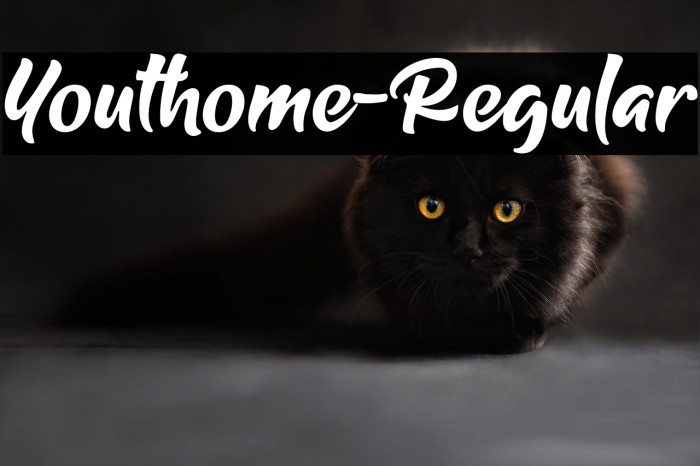 Youthome-Regular Example 1