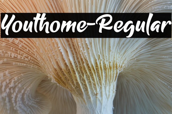 Youthome-Regular Example 2