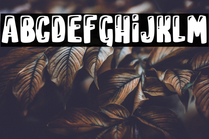 Youtube Star Example 2