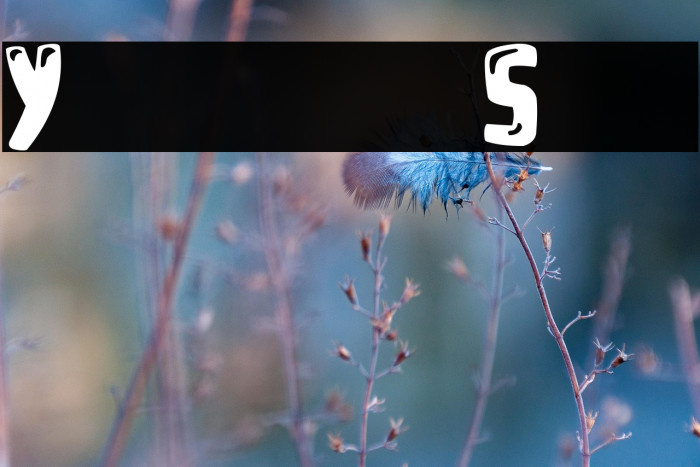 Youtube Star Example 1