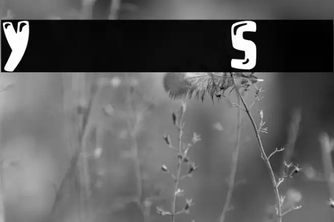 Youtube Star Font examples