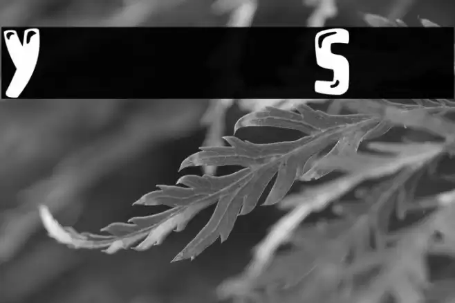 Youtube Star Font examples