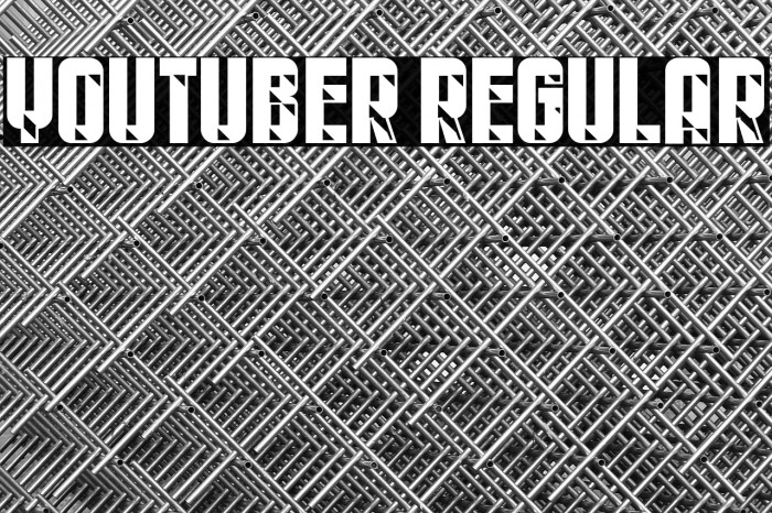 Youtuber Regular Example 1