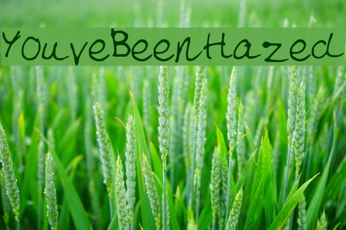 YouveBeenHazed Font examples