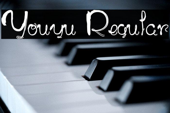 Youyu Regular Example 1