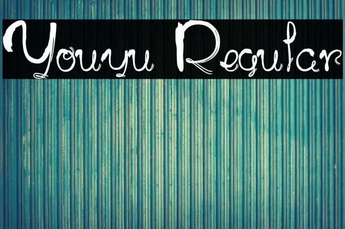 Youyu Regular Example 2