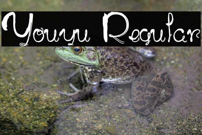 Youyu Regular Example 3