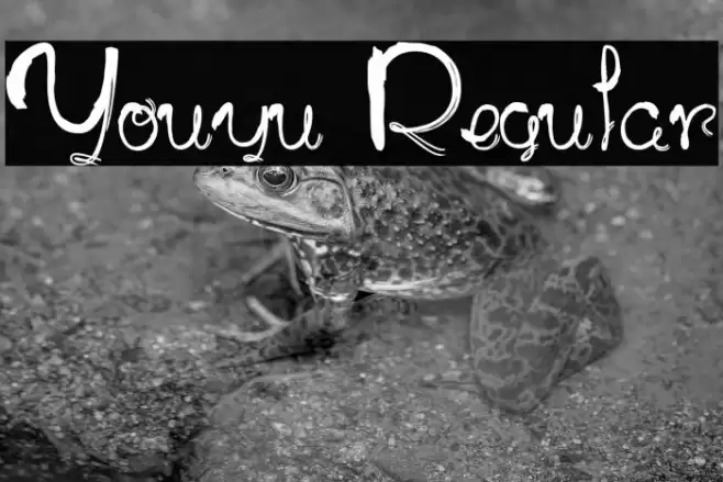 Youyu Regular フォント examples