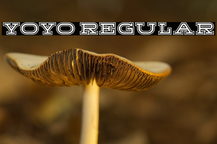 Yoyo Regular Example 3