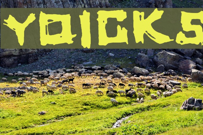 yoicks Font examples