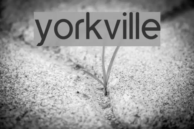 yorkville Font examples