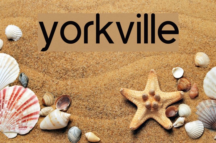 yorkville Font examples