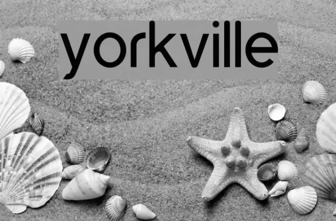 yorkville Font examples