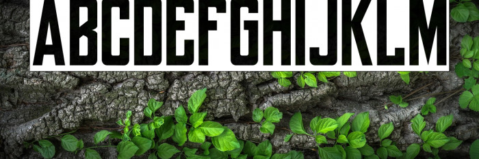 yorkwhiteletter Example 3