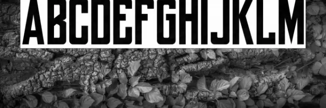 yorkwhiteletter Font examples