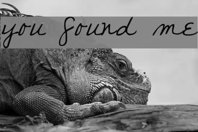 you found me Font examples