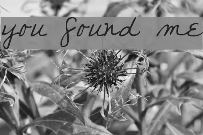 you found me Font examples
