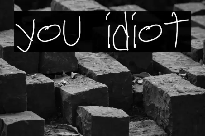 you idiot 字体 examples