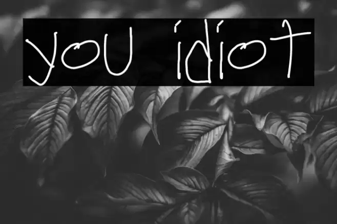 you idiot 字体 examples