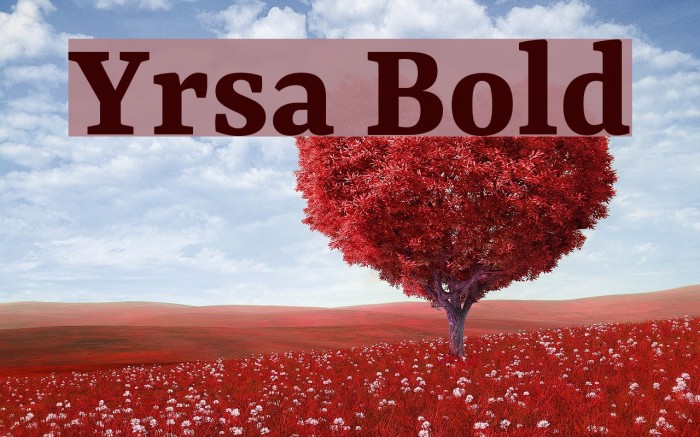 Yrsa Bold Font examples