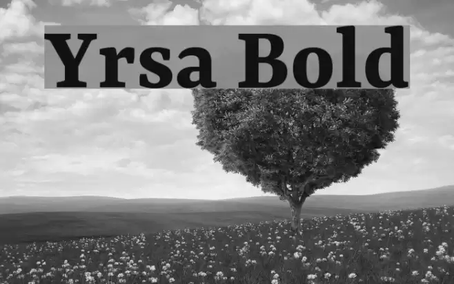 Yrsa Bold examples