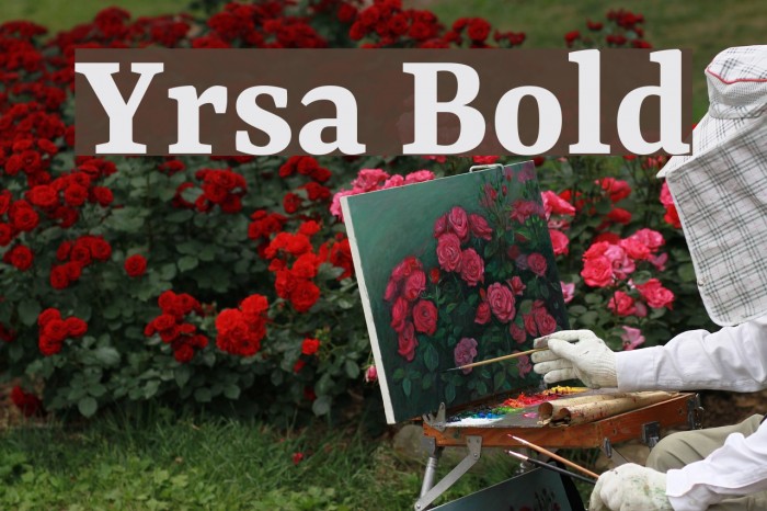 Yrsa Bold Font examples