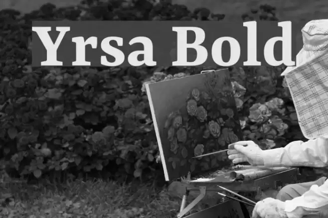 Yrsa Bold examples