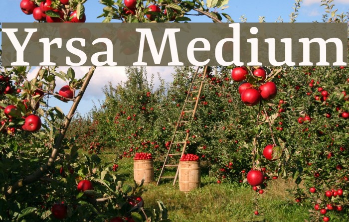 Yrsa Medium Font examples