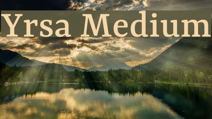 Yrsa Medium Font examples