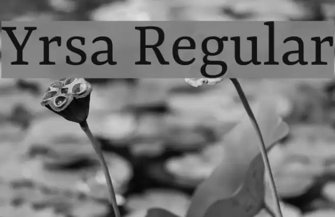 Yrsa Regular Font examples