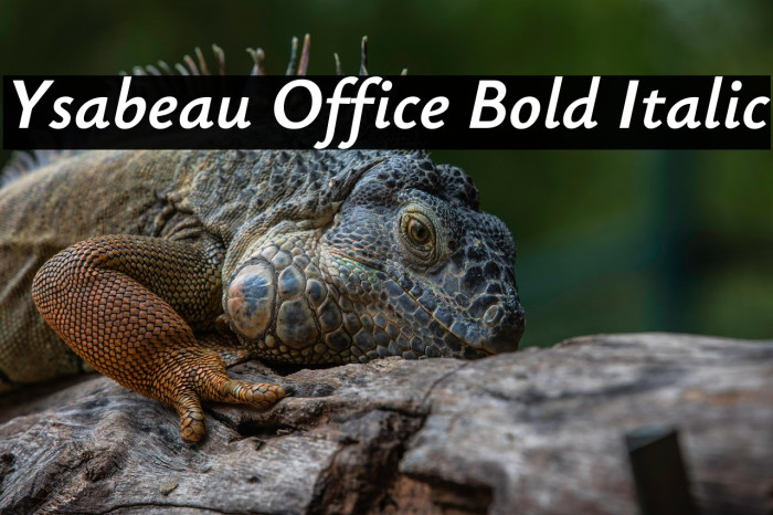 Ysabeau Office Bold Italic Example 1