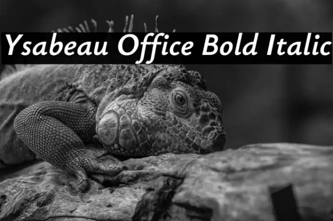 Ysabeau Office Bold Italic Caratteri examples