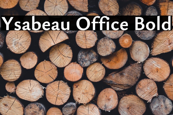Ysabeau Office Bold Example 1