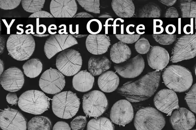 Ysabeau Office Bold Caratteri examples