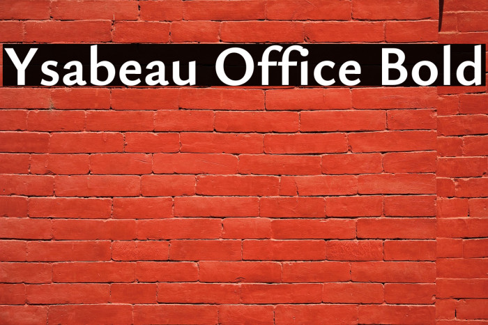 Ysabeau Office Bold Example 3