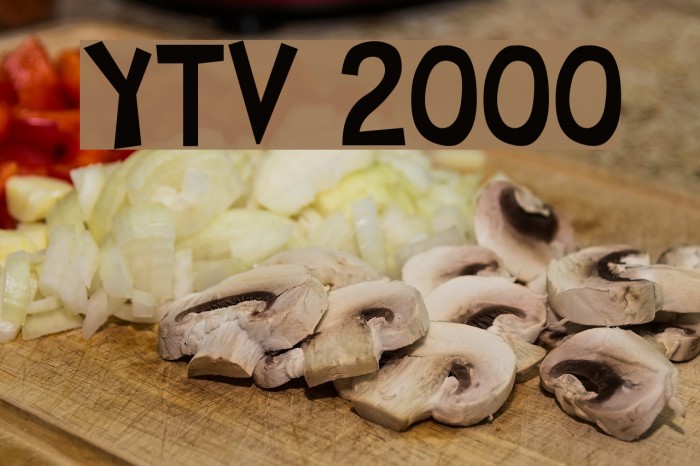 YTV 2000 Schriftart examples