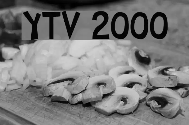 YTV 2000 Font examples
