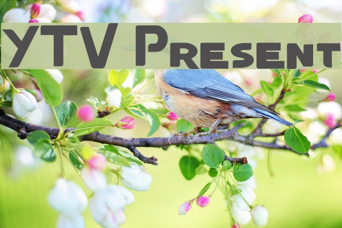 YTV Present Font examples