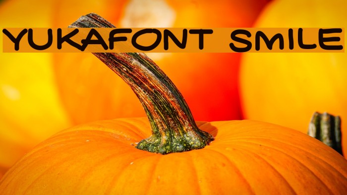 YUKAFONT _SMILE Font examples