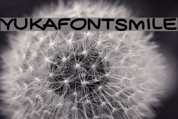 YUKAFONTSMILE Font examples