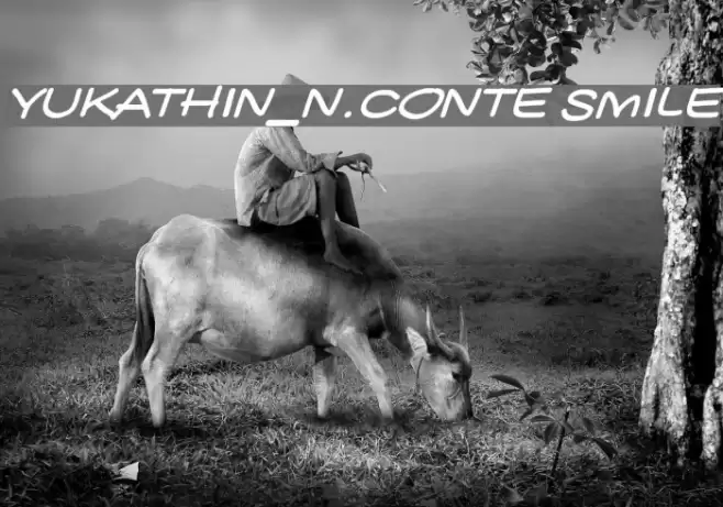 YUKATHIN_N.CONTE SMILE Font examples