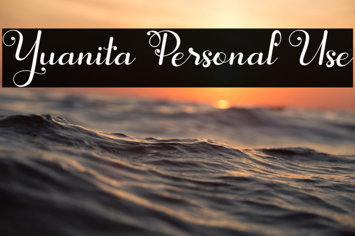 Yuanita Personal Use Example 1