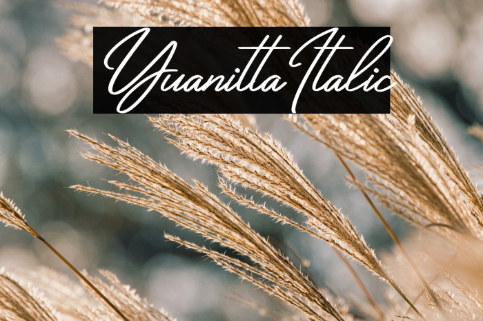 Yuanitta Italic Example 1