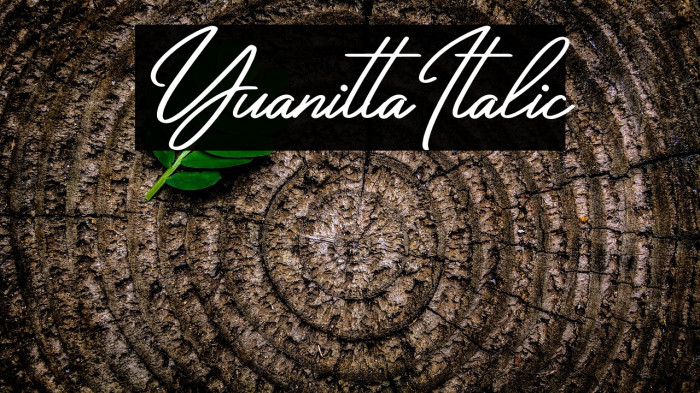 Yuanitta Italic Example 2
