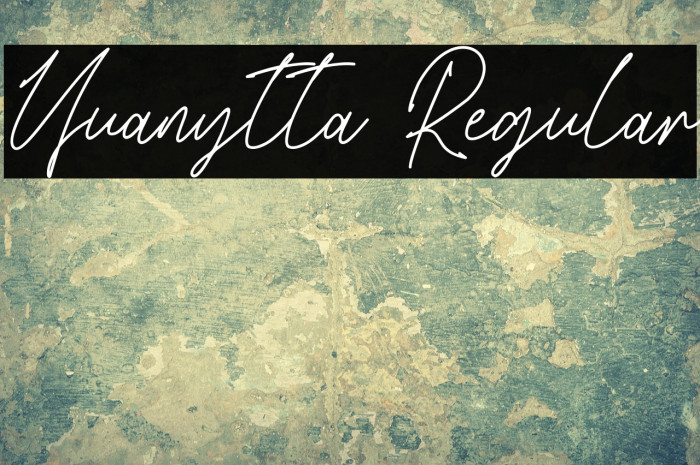 Yuanytta Regular Example 2