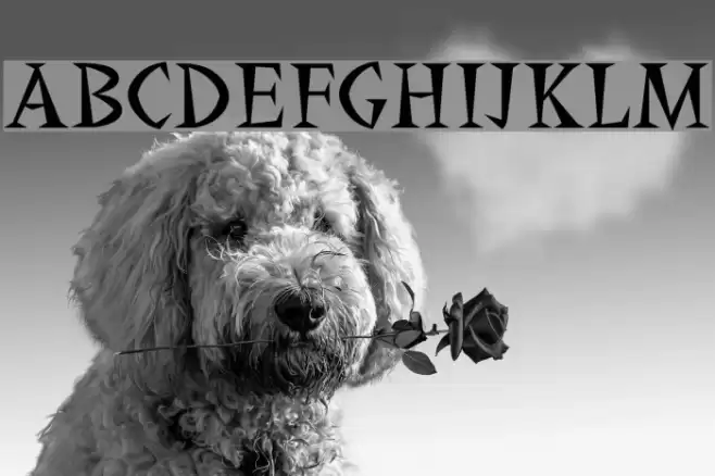 Yucatan Font examples