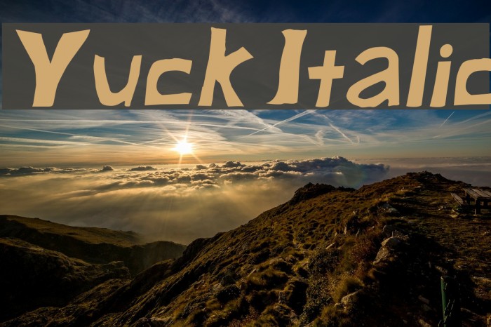 Yuck Italic Font examples
